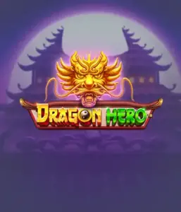 1728909683_dragon_hero-257x300.webp?